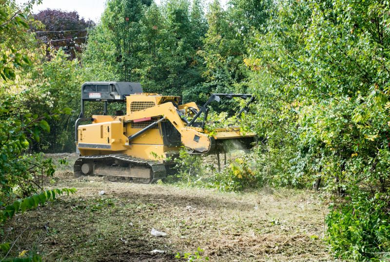 Property Line Clearing in Marietta, GA