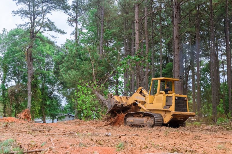 Site Cleaning in Atlanta, GA