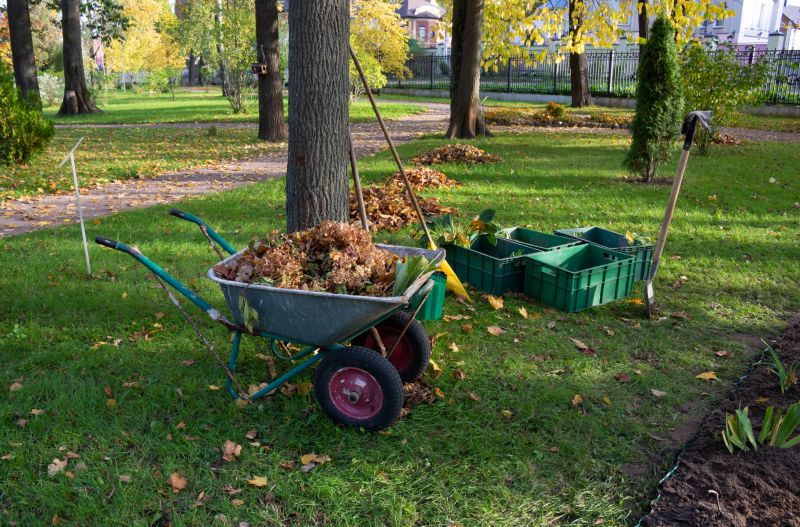 Undergrowth Removal in Houston, TX